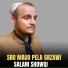 Salam Showqi