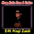 S. M. Naqi Zaidi