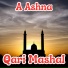 Qari Mashal