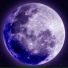 Palemoon