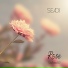 Seadi