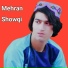 Mehran Shoqi