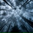 LUMENOISE