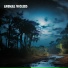 Enigma Soundscapes