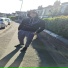SKADY