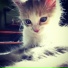 LOVERRYY