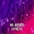 Mr. Brewer