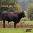 De Campo Alma e Galpão
