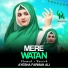 Ayesha Farman Ali