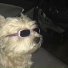 DJ KLAIV
