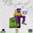 TSOUND