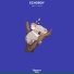 Echoboy