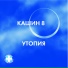 Павел Кашин