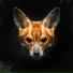 EARON FOX feat. Сергей Раев