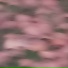 ZMN