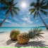 Summer Vibers