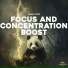 Panda Study, Panda Lofi, Panda Music