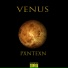 PXNTEXN