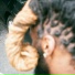 Bill $aber