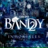 Grupo Bandy2