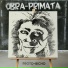 Obra-Primata