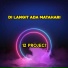 12 project