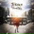 Termer