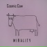 MIRALITY