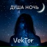 VekTor