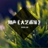 洛天依, 言和