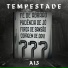 A13