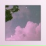 FL K