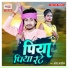 Aman Anmol