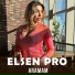 Elsen Pro