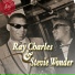 Little Stevie Wonder