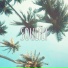 Chris Cross, 100k