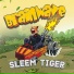 Sleem Tiger feat. Idowest
