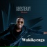 Geosteady