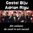 Costel Biju, Adrian Rigu