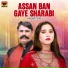 Ansar Tori