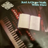 The Diamond Accordion Band
