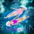 BOCHA