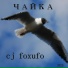 cj foxufo