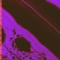 Vione