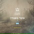 ארז נטף feat. אילן דמרי