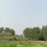 Алекс 55