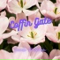 Necole Mitchem