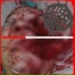 Degenerates Boiled Alive In Raw Human Faeces