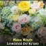 Raza Wazir