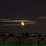 044 ТВОЙСЮР